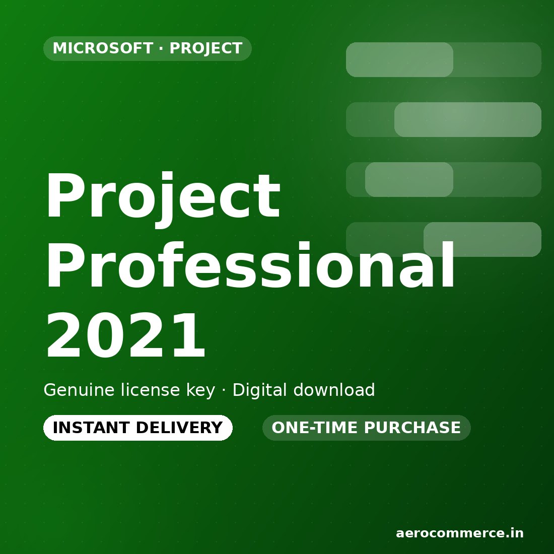 Project Professional 2021 license key