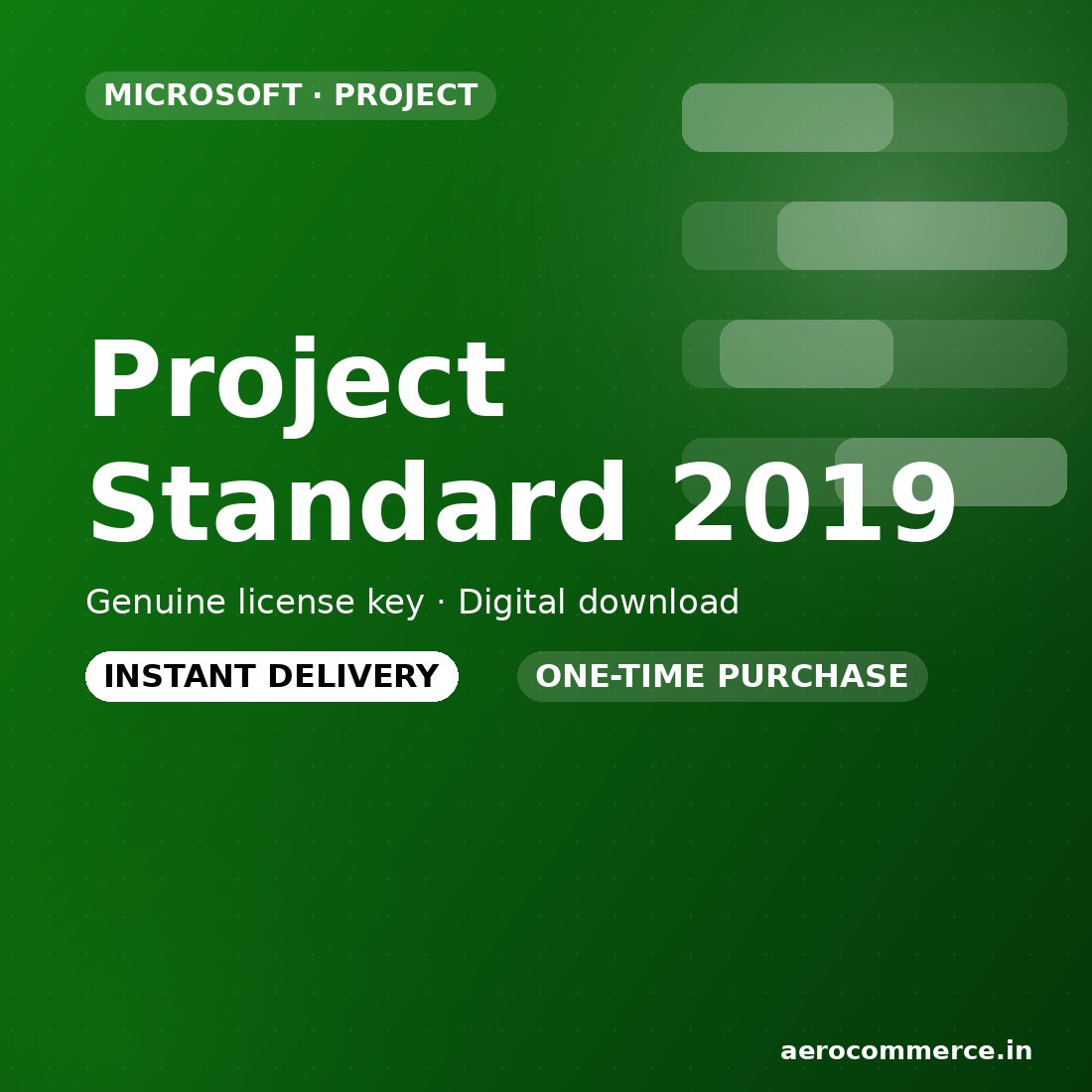Project Standard 2019 license key