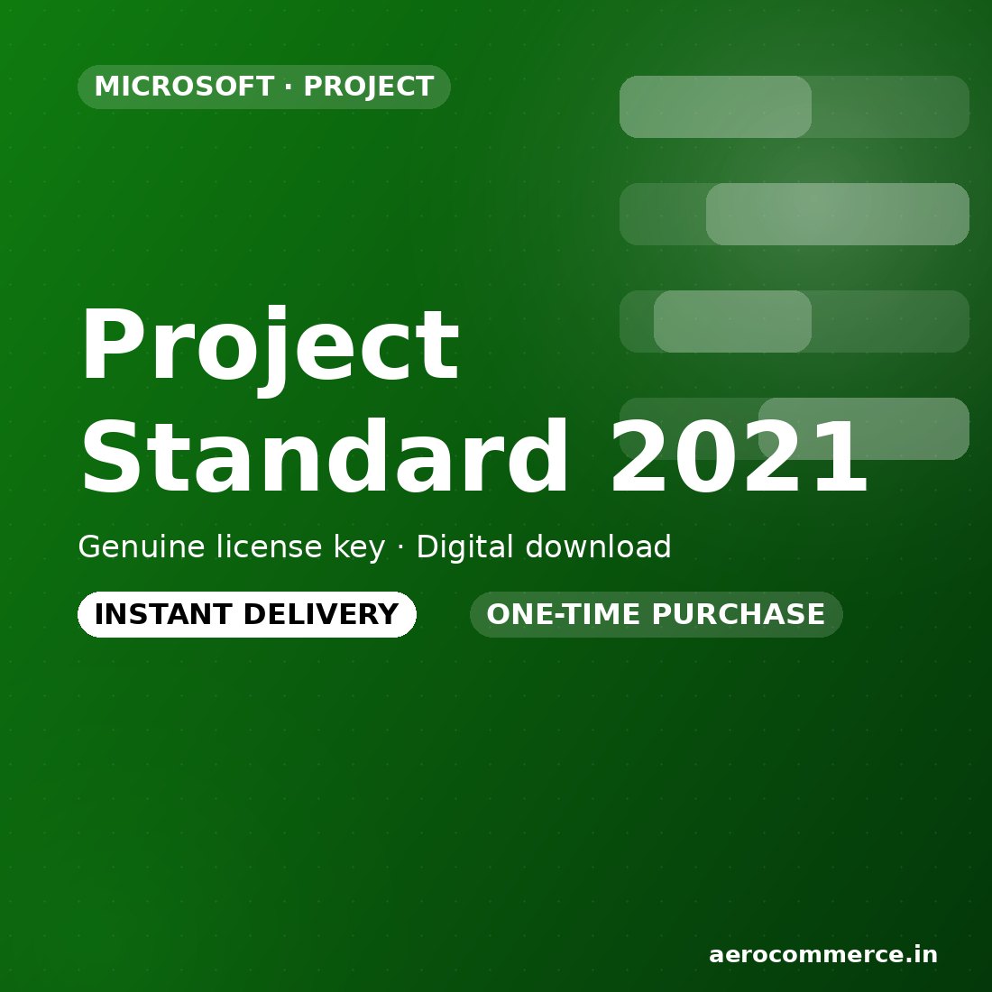 Project Standard 2021 license key
