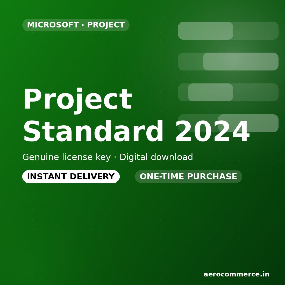 Project Standard 2024 license key