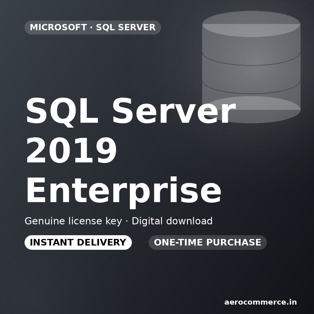 SQL Server 2019 Enterprise license key