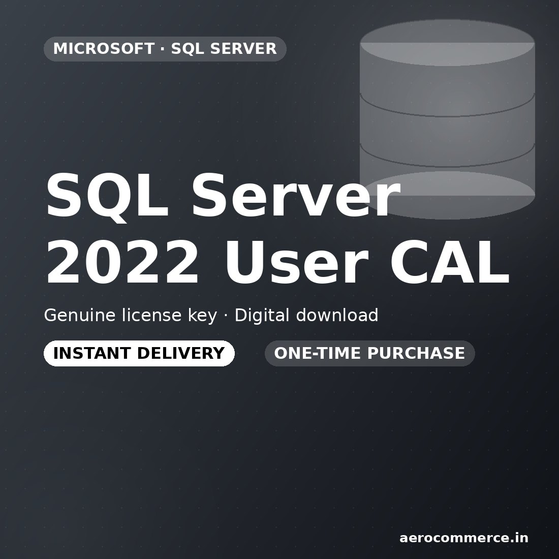 SQL Server 2022 User CAL license key