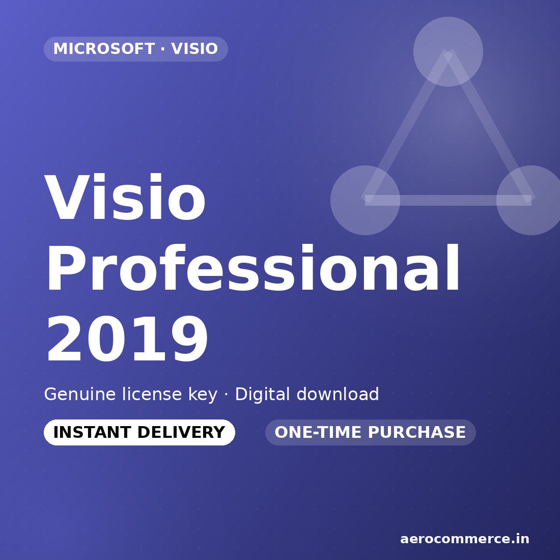 Visio Professional 2019 license key